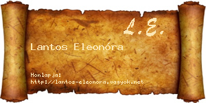 Lantos Eleonóra névjegykártya